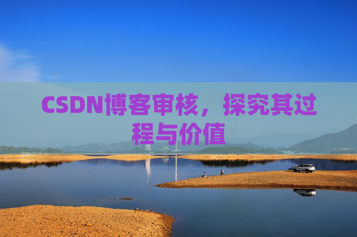CSDN博客审核，探究其过程与价值